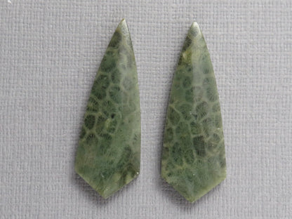 Green Fossil Coral Shield Pair | Pendant Stone | 36x13mm, 26ct | FC118 - Gem Enthusiast
