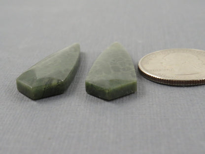 Green Fossil Coral Shield Pair | Pendant Stone | 36x13mm, 26ct | FC118 - Gem Enthusiast