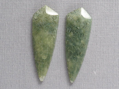 Green Fossil Coral Shield | Pendant Stone | 36x12mm, 22ct | Per Pair | FC119 - Gem Enthusiast