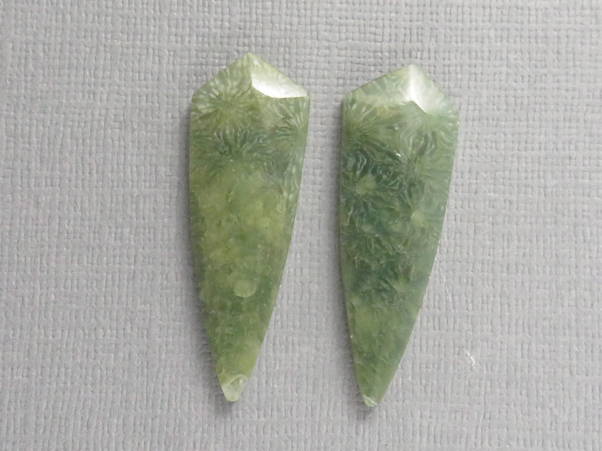 Green Fossil Coral Shield | Pendant Stone | 36x12mm, 22ct | Per Pair | FC119 - Gem Enthusiast