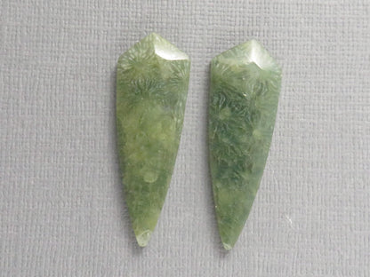 Green Fossil Coral Shield | Pendant Stone | 36x12mm, 22ct | Per Pair | FC119 - Gem Enthusiast