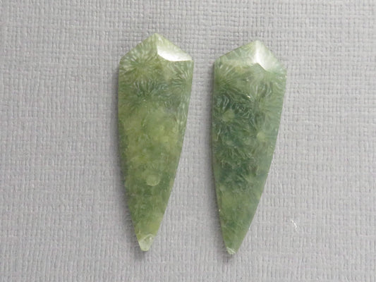 Green Fossil Coral Shield | Pendant Stone | 36x12mm, 22ct | Per Pair | FC119 - Gem Enthusiast