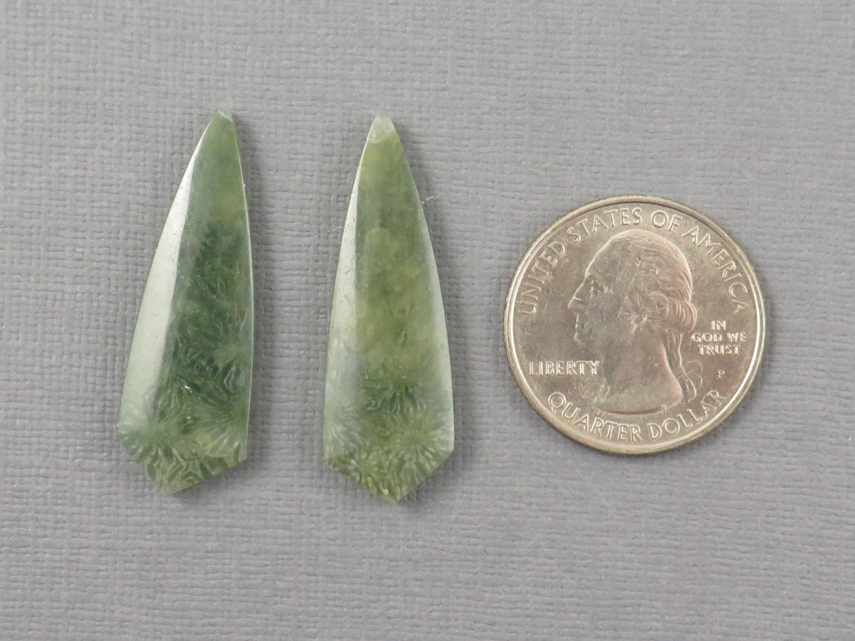 Green Fossil Coral Shield | Pendant Stone | 36x12mm, 22ct | Per Pair | FC119 - Gem Enthusiast