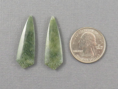 Green Fossil Coral Shield | Pendant Stone | 36x12mm, 22ct | Per Pair | FC119 - Gem Enthusiast