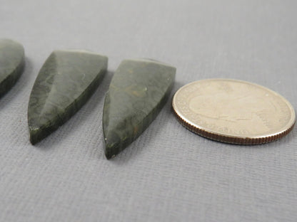 Green Fossilized Coral Cabochon Pairs | Agatized Fossil Coral | 36mm, avg 31ct | Per Pair | Indonesia | FC116 - Gem Enthusiast