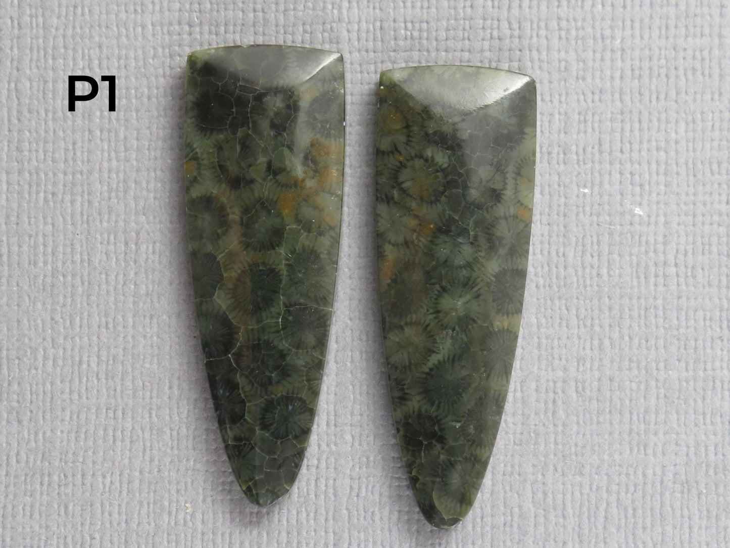 Green Fossilized Coral Cabochon Pairs | Agatized Fossil Coral | 36mm, avg 31ct | Per Pair | Indonesia | FC116 - Gem Enthusiast