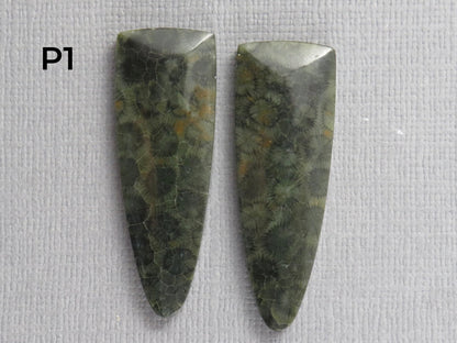 Green Fossilized Coral Cabochon Pairs | Agatized Fossil Coral | 36mm, avg 31ct | Per Pair | Indonesia | FC116 - Gem Enthusiast