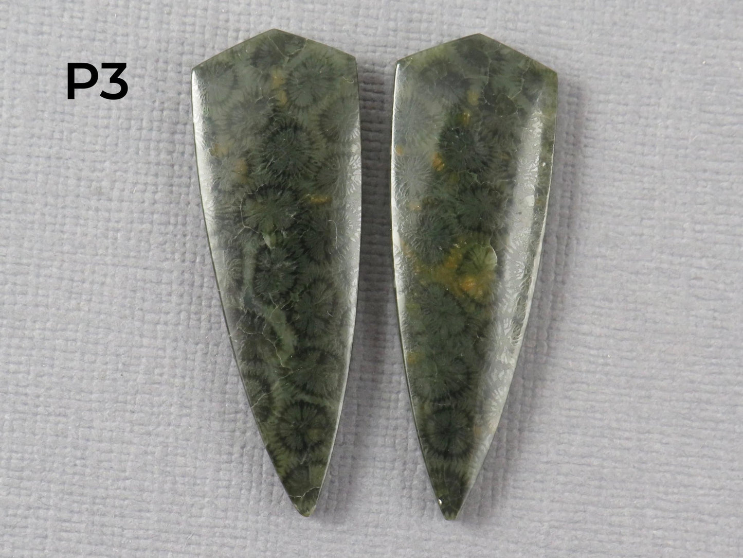 Green Fossilized Coral Cabochon Pairs | Agatized Fossil Coral | 36mm, avg 31ct | Per Pair | Indonesia | FC116 - Gem Enthusiast