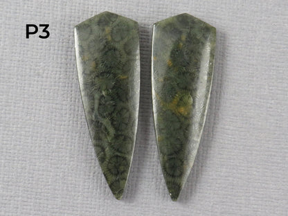Green Fossilized Coral Cabochon Pairs | Agatized Fossil Coral | 36mm, avg 31ct | Per Pair | Indonesia | FC116 - Gem Enthusiast