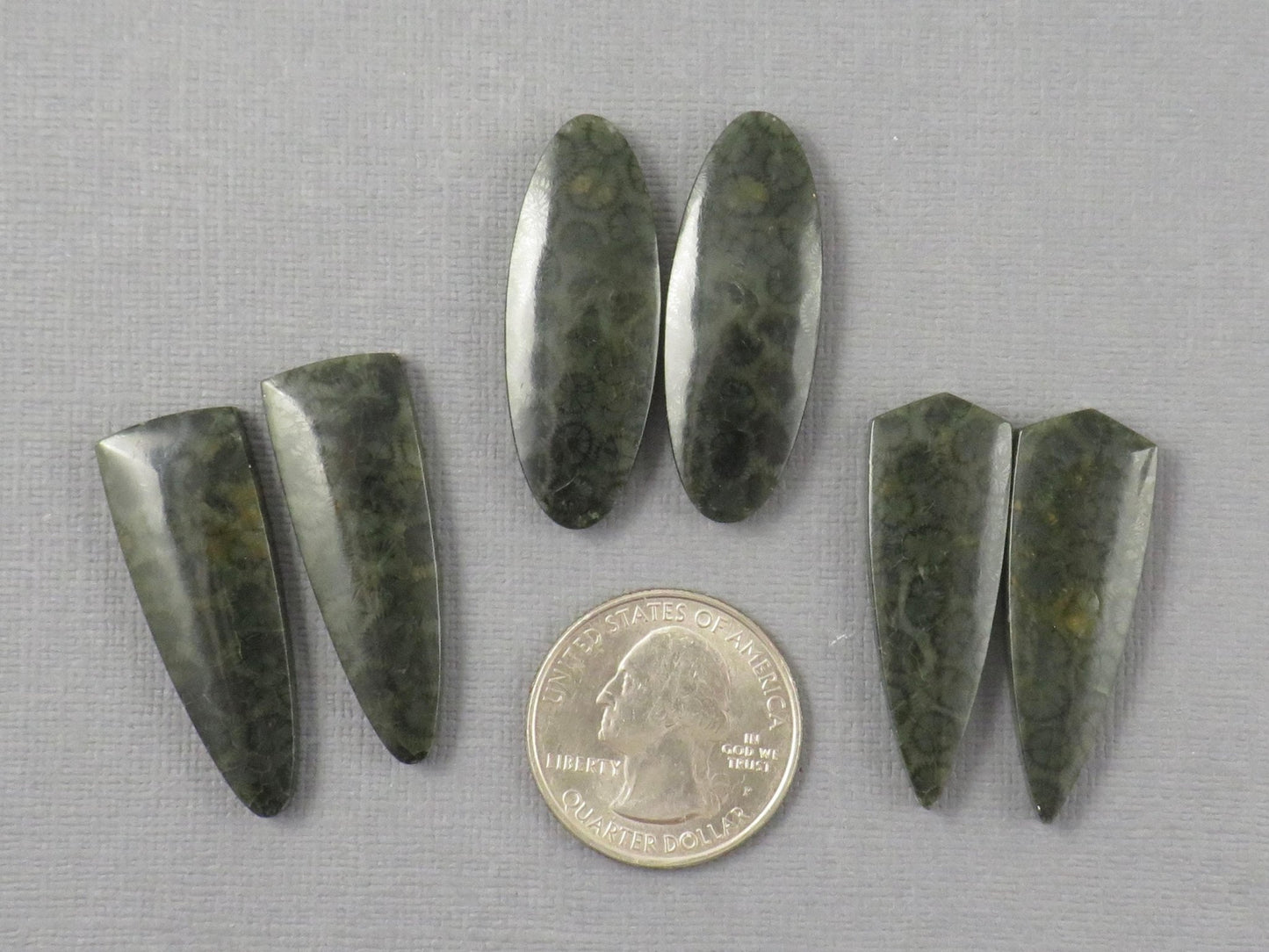 Green Fossilized Coral Cabochon Pairs | Agatized Fossil Coral | 36mm, avg 31ct | Per Pair | Indonesia | FC116 - Gem Enthusiast
