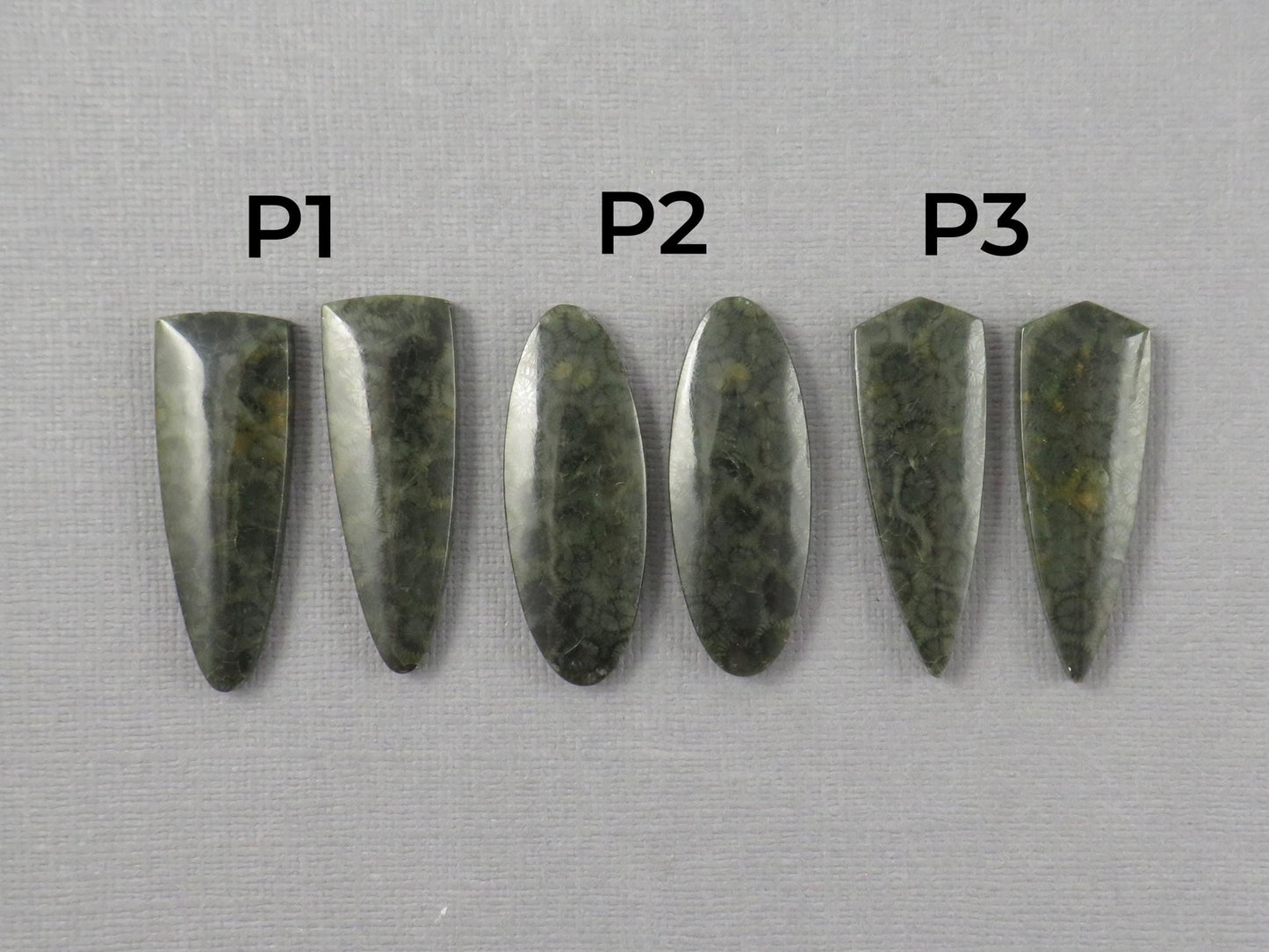 Green Fossilized Coral Cabochon Pairs | Agatized Fossil Coral | 36mm, avg 31ct | Per Pair | Indonesia | FC116 - Gem Enthusiast