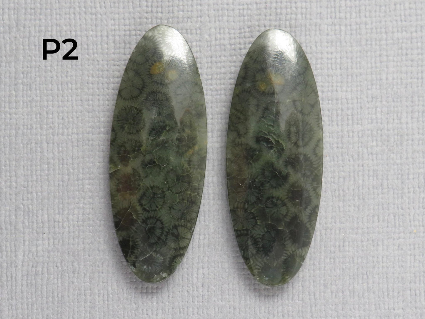 Green Fossilized Coral Cabochon Pairs | Agatized Fossil Coral | 36mm, avg 31ct | Per Pair | Indonesia | FC116 - Gem Enthusiast