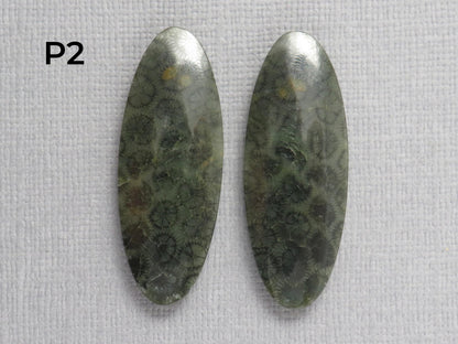 Green Fossilized Coral Cabochon Pairs | Agatized Fossil Coral | 36mm, avg 31ct | Per Pair | Indonesia | FC116 - Gem Enthusiast