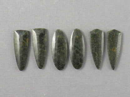 Green Fossilized Coral Cabochon Pairs | Agatized Fossil Coral | 36mm, avg 31ct | Per Pair | Indonesia | FC116 - Gem Enthusiast