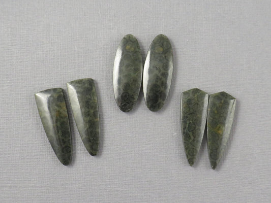 Green Fossilized Coral Cabochon Pairs | Agatized Fossil Coral | 36mm, avg 31ct | Per Pair | Indonesia | FC116 - Gem Enthusiast