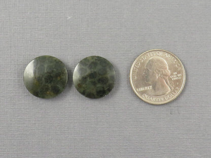 Green Fossilized Coral Cabochon Round | Fossil Gemstone | 18.6x18.6mm, 23.3ct | Indonesia | FC109 - Gem Enthusiast