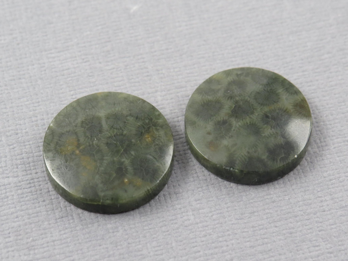 Green Fossilized Coral Cabochon Round | Fossil Gemstone | 18.6x18.6mm, 23.3ct | Indonesia | FC109 - Gem Enthusiast