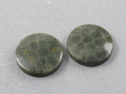 Green Fossilized Coral Cabochon Round | Fossil Gemstone | 18.6x18.6mm, 23.3ct | Indonesia | FC109 - Gem Enthusiast