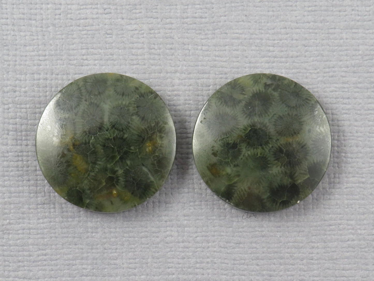 Green Fossilized Coral Cabochon Round | Fossil Gemstone | 18.6x18.6mm, 23.3ct | Indonesia | FC109 - Gem Enthusiast