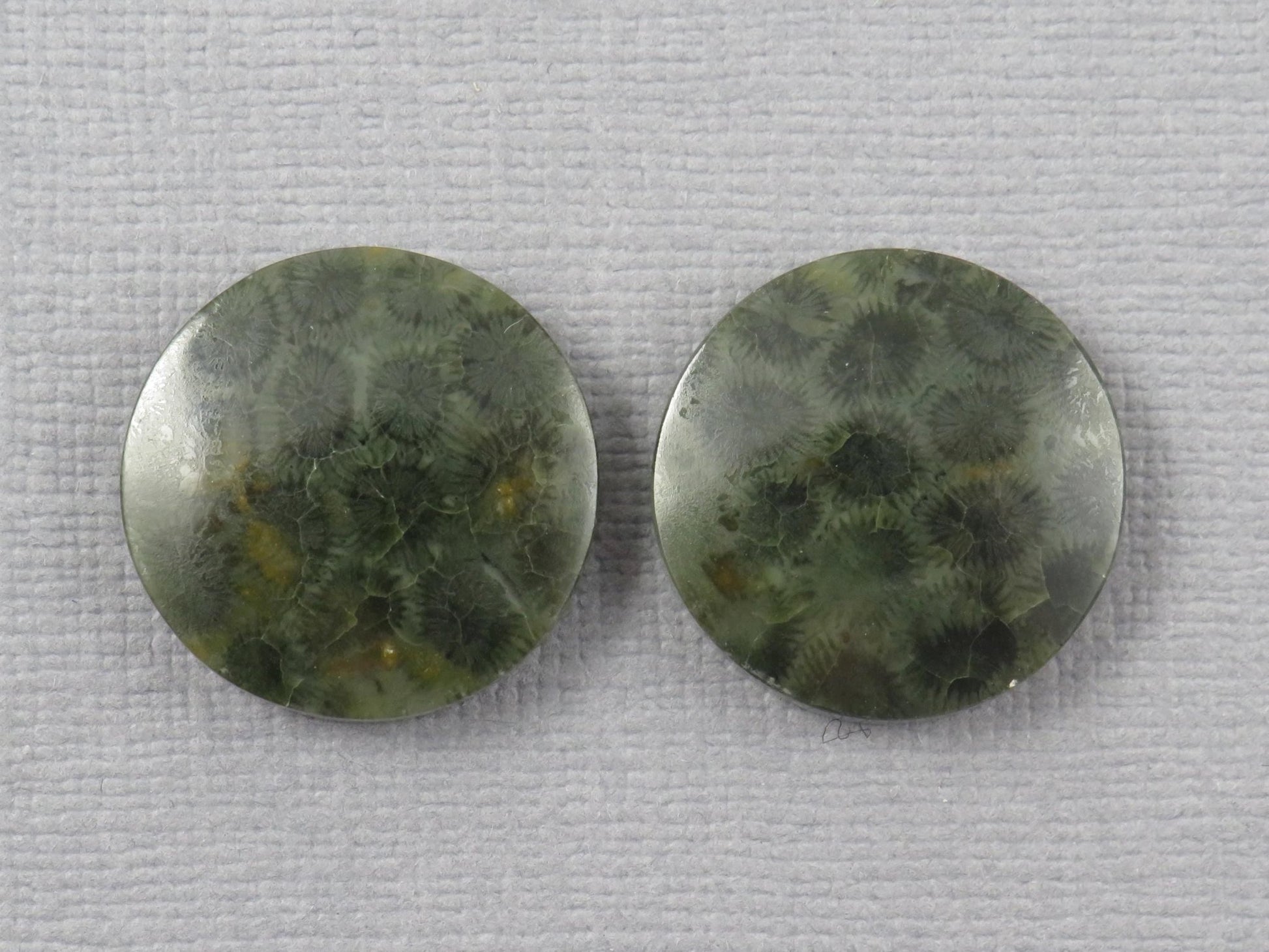Green Fossilized Coral Cabochon Round | Fossil Gemstone | 18.6x18.6mm, 23.3ct | Indonesia | FC109 - Gem Enthusiast