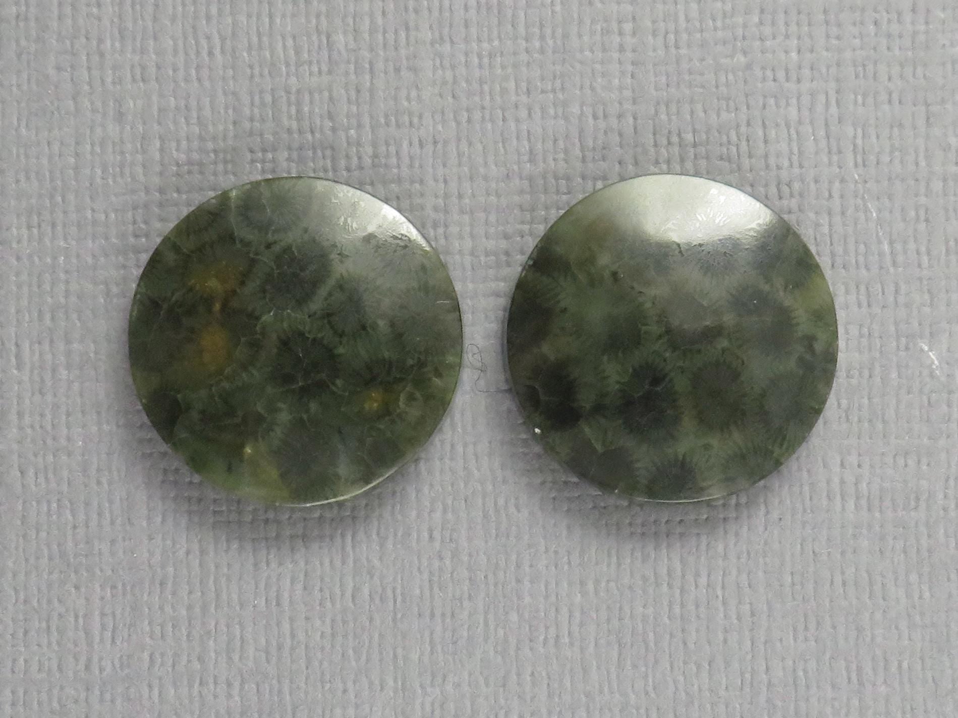 Green Fossilized Coral Cabochon Round | Fossil Gemstone | 18.6x18.6mm, 23.3ct | Indonesia | FC109 - Gem Enthusiast