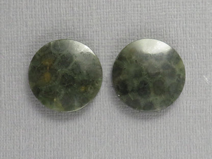 Green Fossilized Coral Cabochon Round | Fossil Gemstone | 18.6x18.6mm, 23.3ct | Indonesia | FC109 - Gem Enthusiast