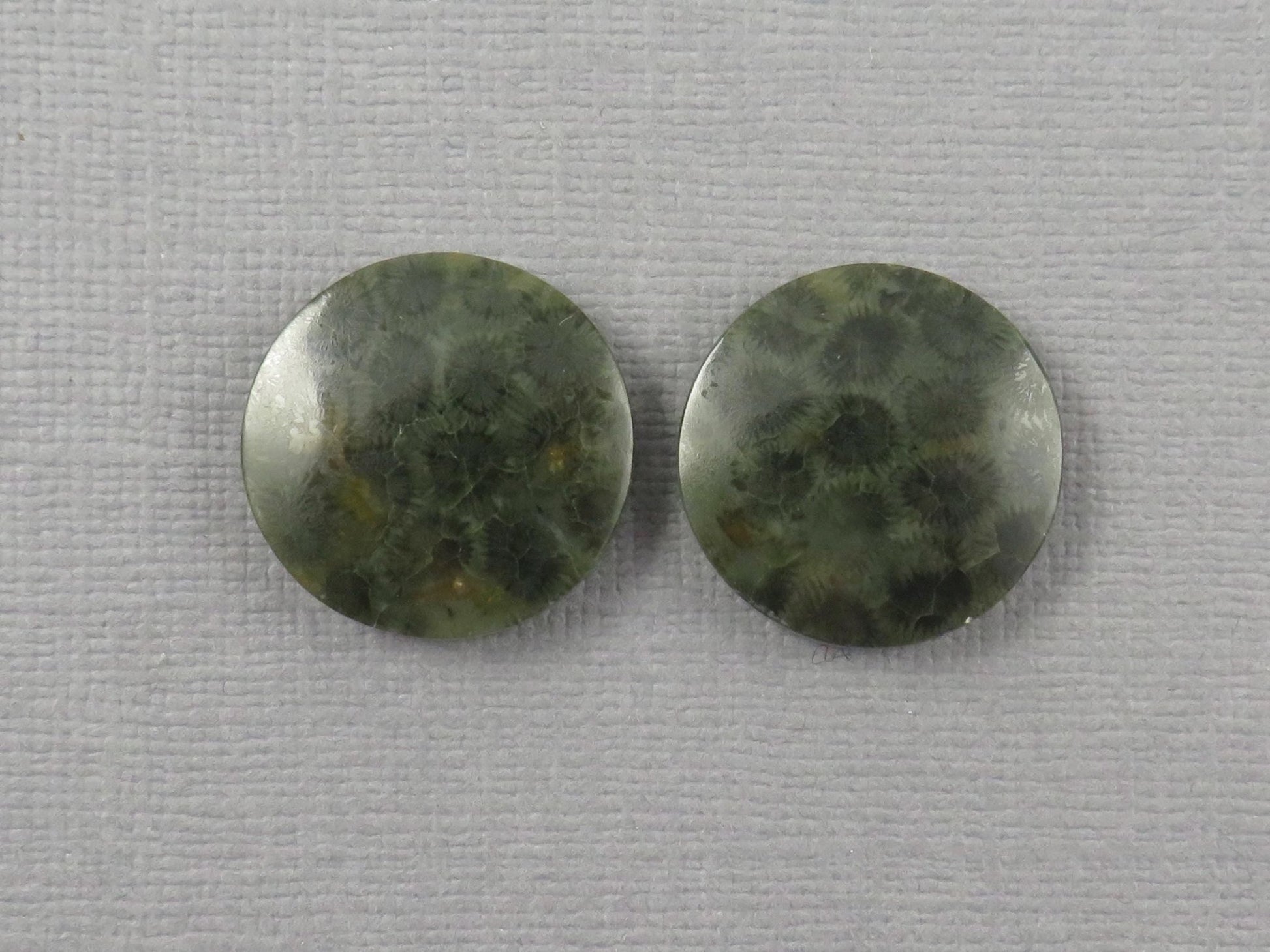 Green Fossilized Coral Cabochon Round | Fossil Gemstone | 18.6x18.6mm, 23.3ct | Indonesia | FC109 - Gem Enthusiast