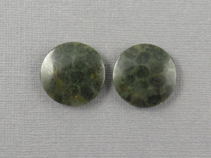 Green Fossilized Coral Cabochon Round | Fossil Gemstone | 18.6x18.6mm, 23.3ct | Indonesia | FC109 - Gem Enthusiast