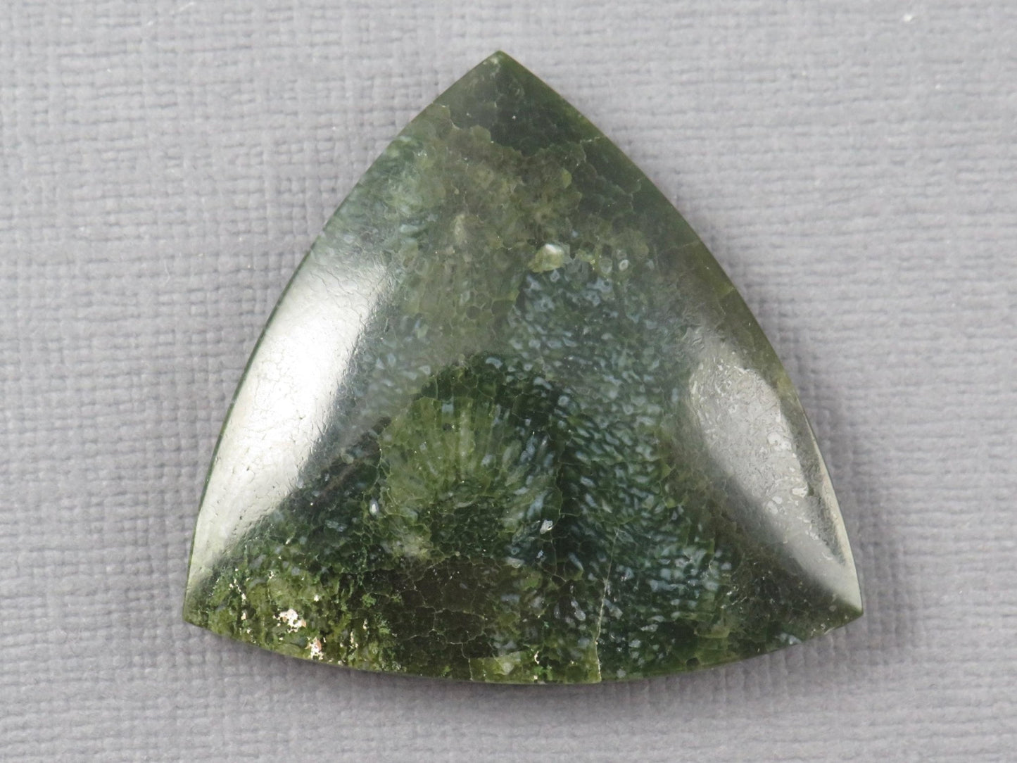 Green Fossilized Coral Cabochon Trillion | Agatized Gemstone | 34x33mm, 40ct | Indonesia | FC113 - Gem Enthusiast