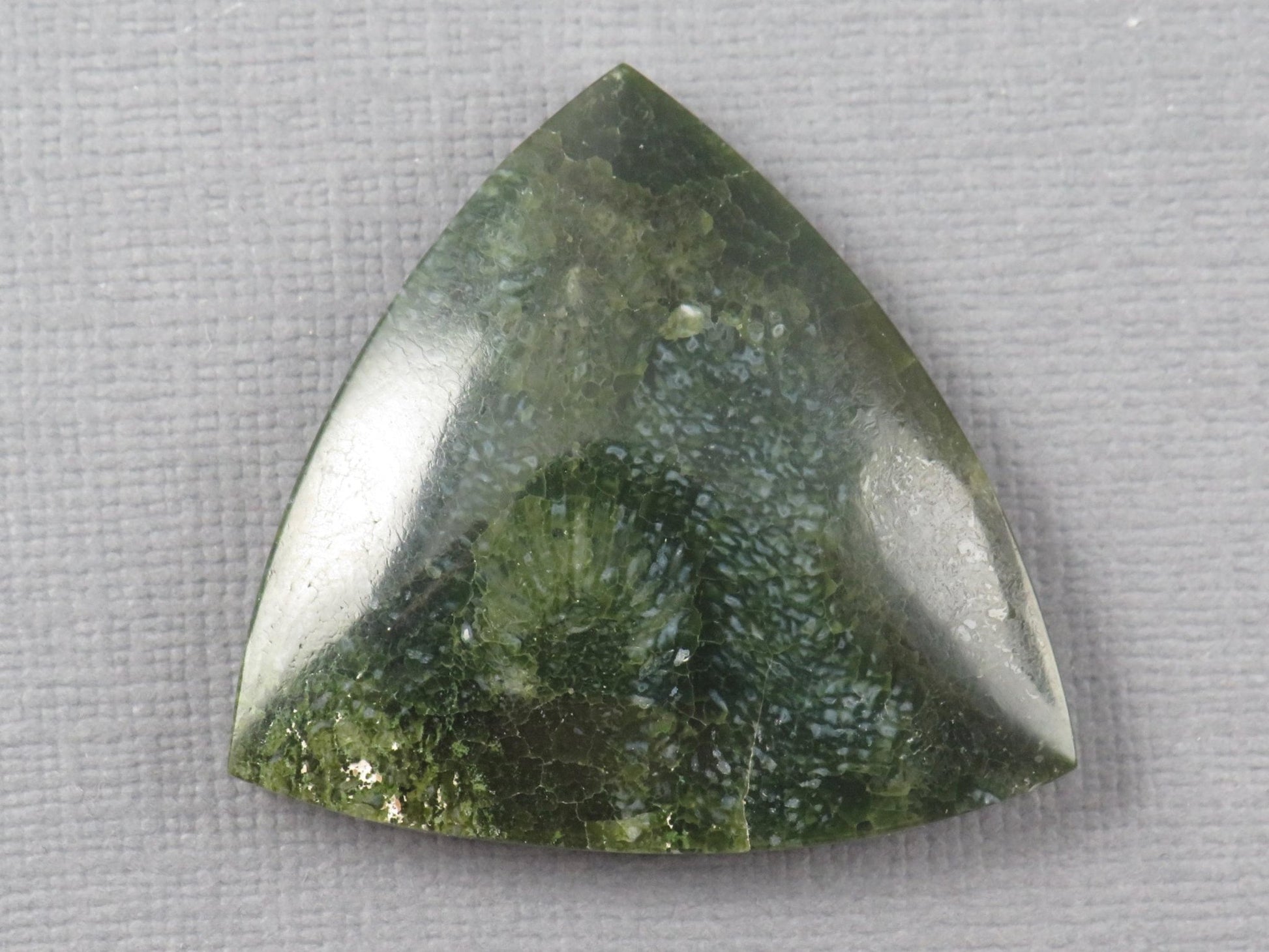 Green Fossilized Coral Cabochon Trillion | Agatized Gemstone | 34x33mm, 40ct | Indonesia | FC113 - Gem Enthusiast