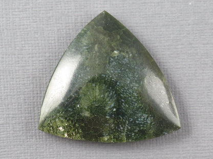 Green Fossilized Coral Cabochon Trillion | Agatized Gemstone | 34x33mm, 40ct | Indonesia | FC113 - Gem Enthusiast