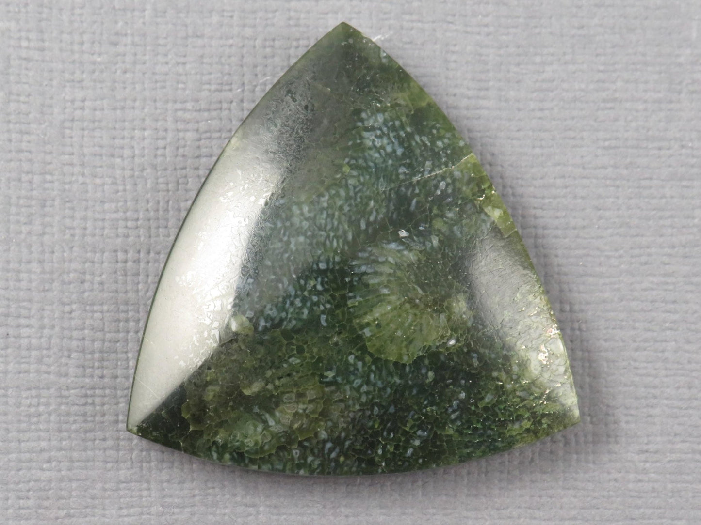Green Fossilized Coral Cabochon Trillion | Agatized Gemstone | 34x33mm, 40ct | Indonesia | FC113 - Gem Enthusiast