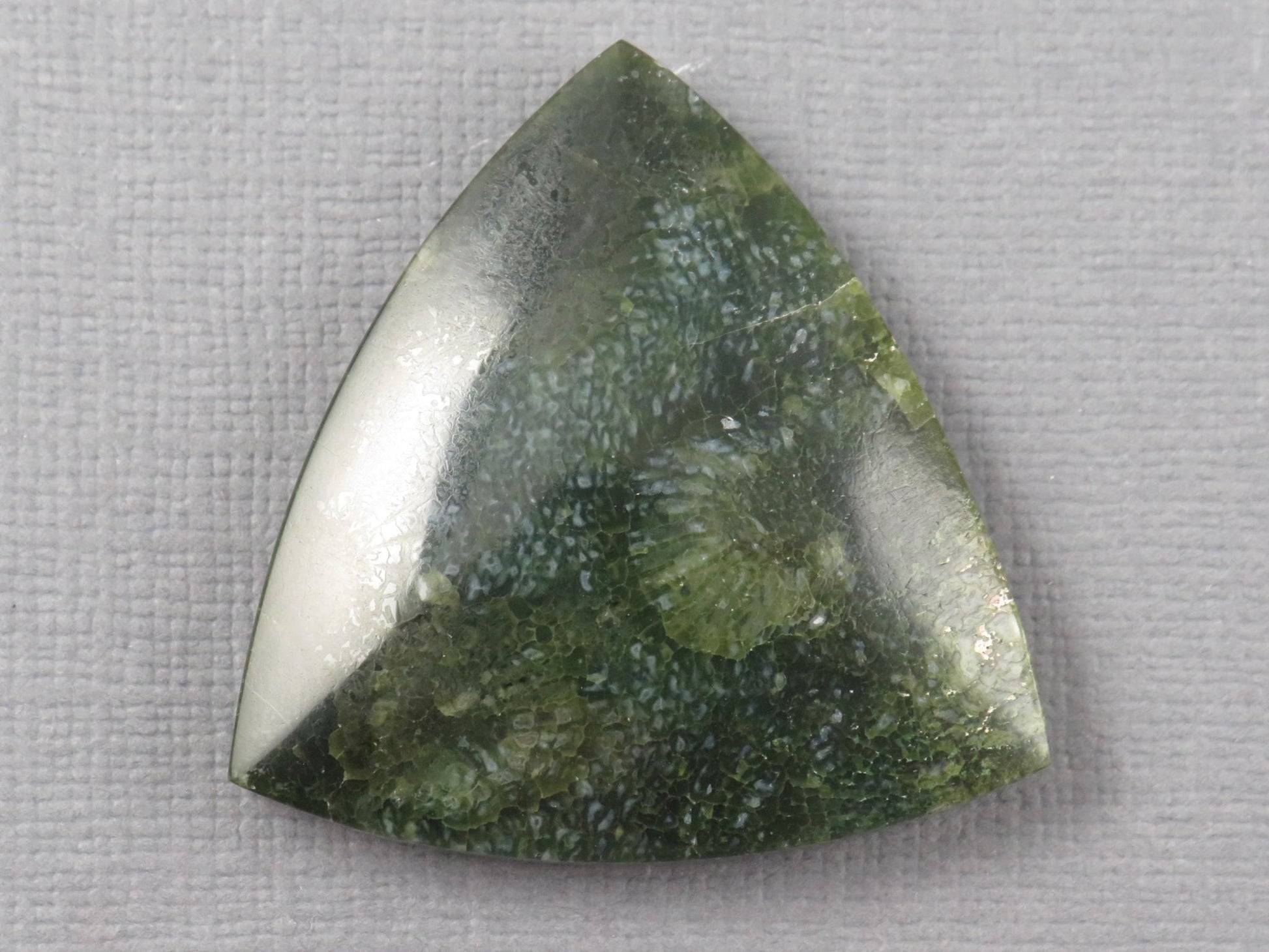 Green Fossilized Coral Cabochon Trillion | Agatized Gemstone | 34x33mm, 40ct | Indonesia | FC113 - Gem Enthusiast