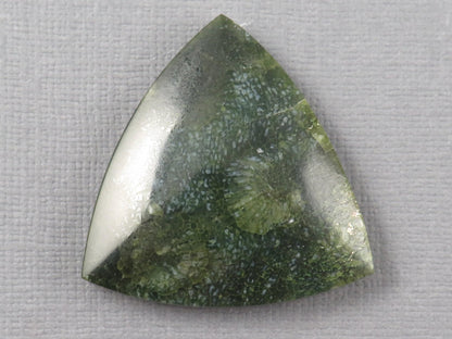 Green Fossilized Coral Cabochon Trillion | Agatized Gemstone | 34x33mm, 40ct | Indonesia | FC113 - Gem Enthusiast