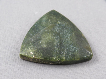 Green Fossilized Coral Cabochon Trillion | Agatized Gemstone | 34x33mm, 40ct | Indonesia | FC113 - Gem Enthusiast