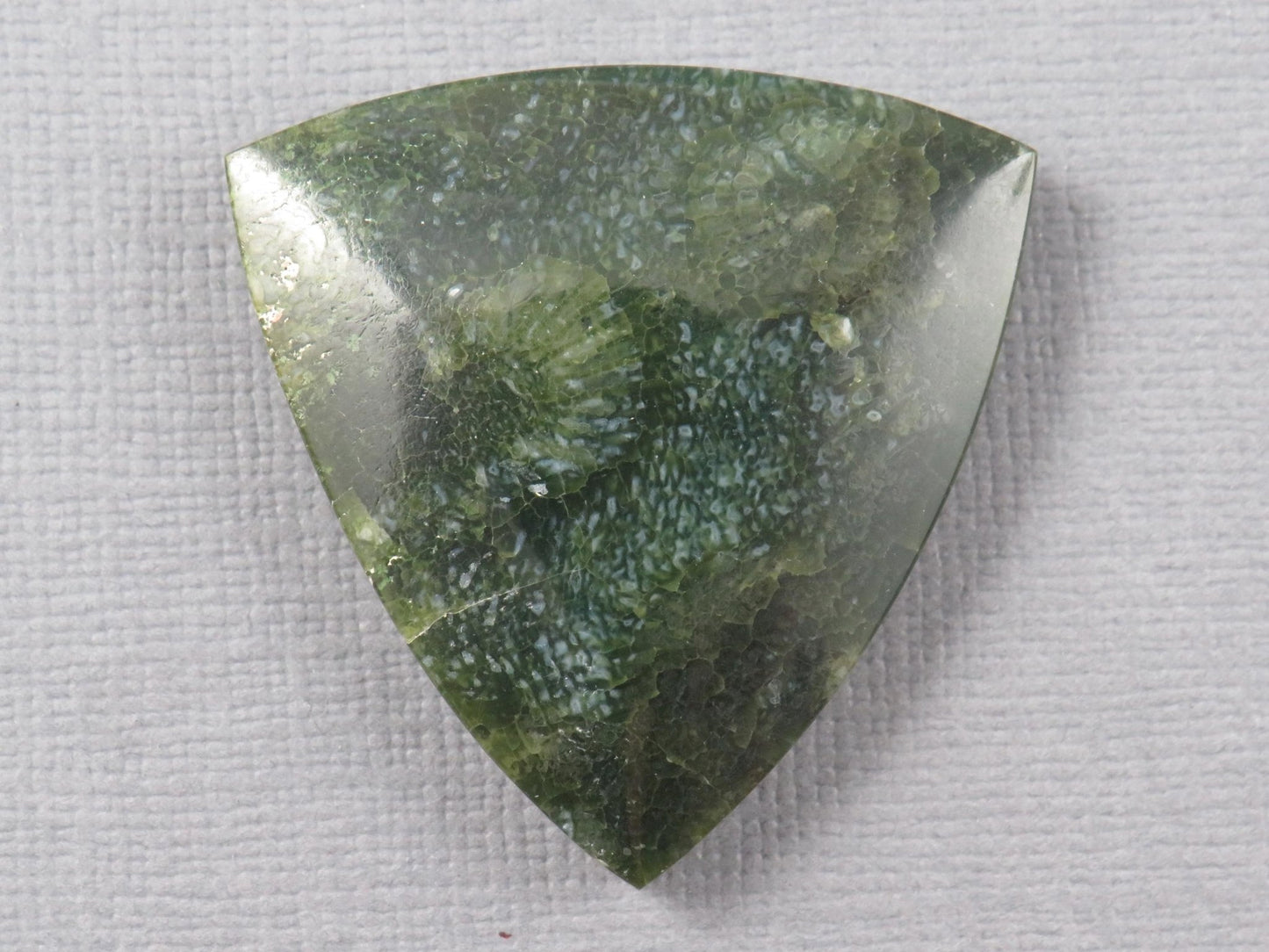 Green Fossilized Coral Cabochon Trillion | Agatized Gemstone | 34x33mm, 40ct | Indonesia | FC113 - Gem Enthusiast