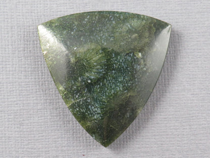 Green Fossilized Coral Cabochon Trillion | Agatized Gemstone | 34x33mm, 40ct | Indonesia | FC113 - Gem Enthusiast