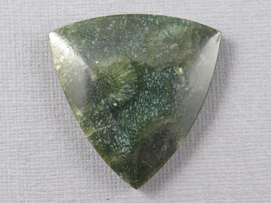 Green Fossilized Coral Cabochon Trillion | Agatized Gemstone | 34x33mm, 40ct | Indonesia | FC113 - Gem Enthusiast