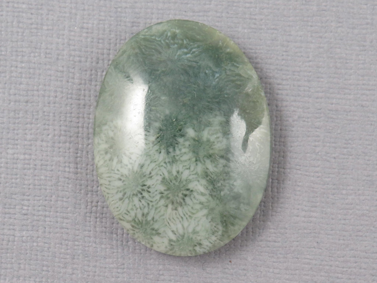 Green Fossilized Coral Oval Cabochon | Agatized Coral | 33x25mm, 37.9ct | Indonesia | FC111 - Gem Enthusiast