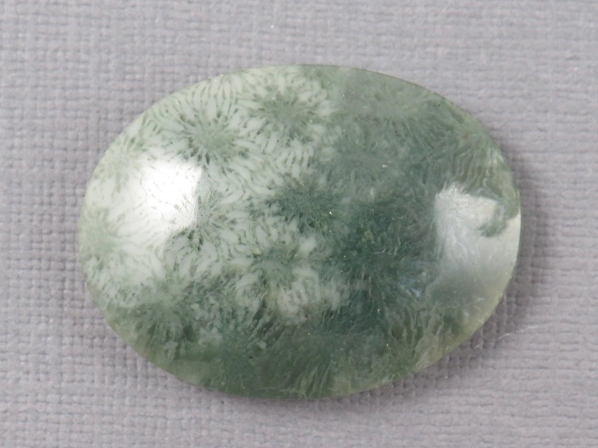 Green Fossilized Coral Oval Cabochon | Agatized Coral | 33x25mm, 37.9ct | Indonesia | FC111 - Gem Enthusiast