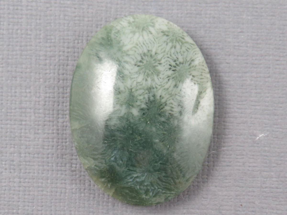 Green Fossilized Coral Oval Cabochon | Agatized Coral | 33x25mm, 37.9ct | Indonesia | FC111 - Gem Enthusiast