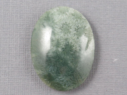 Green Fossilized Coral Oval Cabochon | Agatized Coral | 33x25mm, 37.9ct | Indonesia | FC111 - Gem Enthusiast