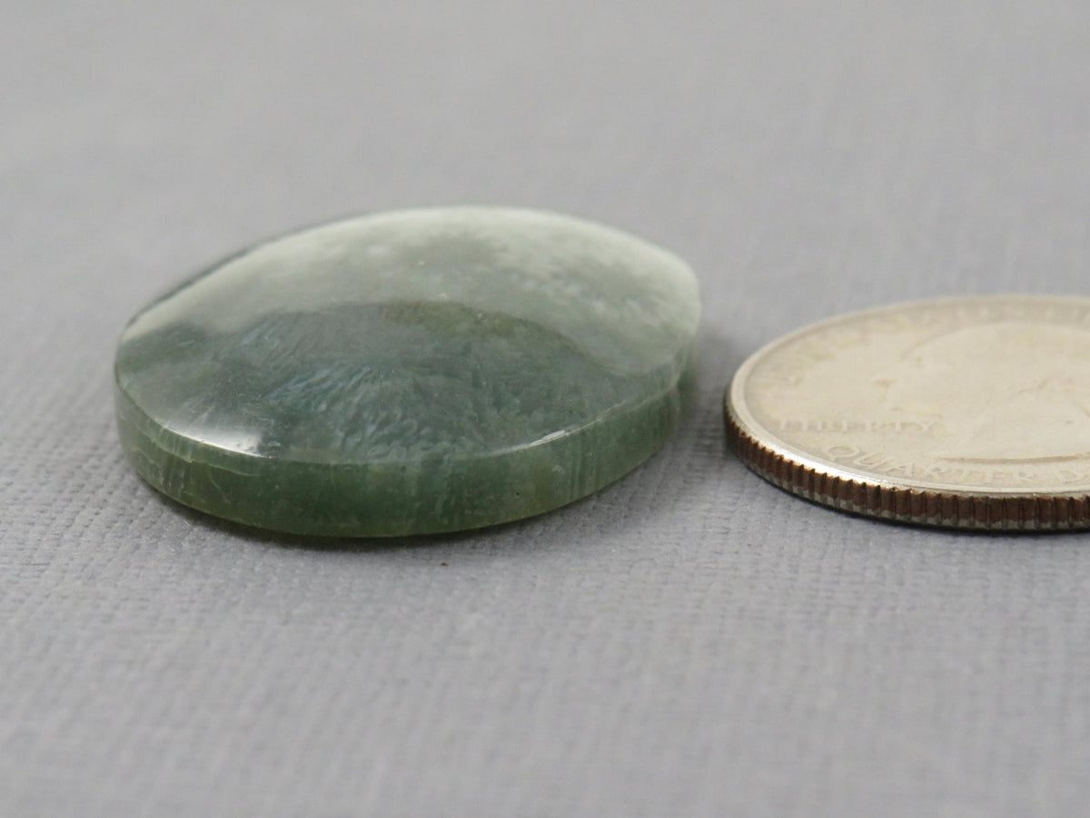 Green Fossilized Coral Oval Cabochon | Agatized Coral | 33x25mm, 37.9ct | Indonesia | FC111 - Gem Enthusiast