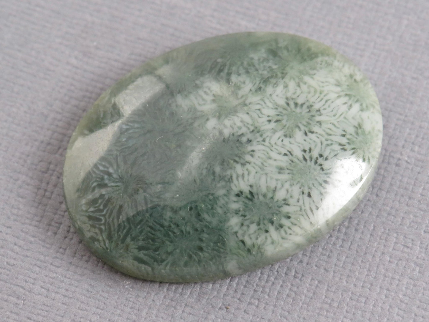 Green Fossilized Coral Oval Cabochon | Agatized Coral | 33x25mm, 37.9ct | Indonesia | FC111 - Gem Enthusiast