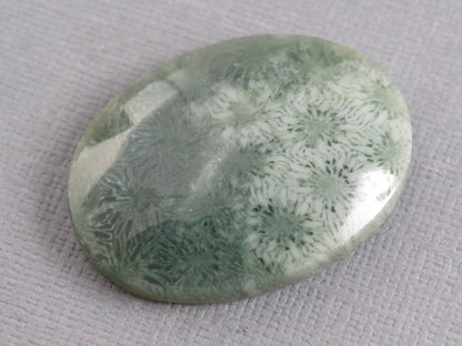 Green Fossilized Coral Oval Cabochon | Agatized Coral | 33x25mm, 37.9ct | Indonesia | FC111 - Gem Enthusiast