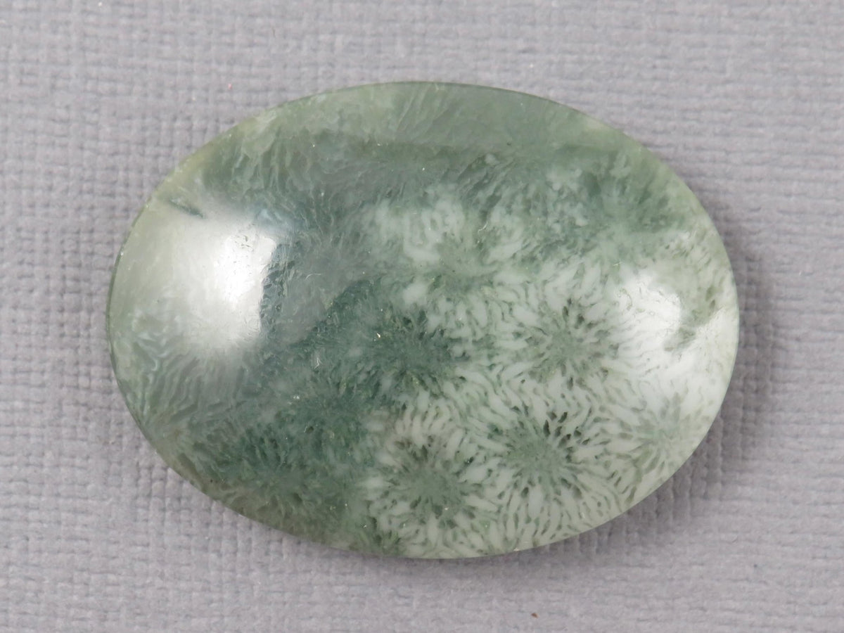Green Fossilized Coral Oval Cabochon | Agatized Coral | 33x25mm, 37.9ct | Indonesia | FC111 - Gem Enthusiast