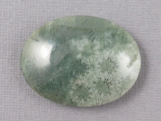 Green Fossilized Coral Oval Cabochon | Agatized Coral | 33x25mm, 37.9ct | Indonesia | FC111 - Gem Enthusiast