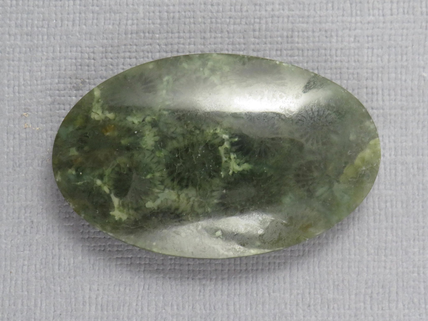 Green Fossilized Coral Oval Cabochon | Agatized Gemstone | 39x25mm, 56ct | Indonesia | FC115 - Gem Enthusiast