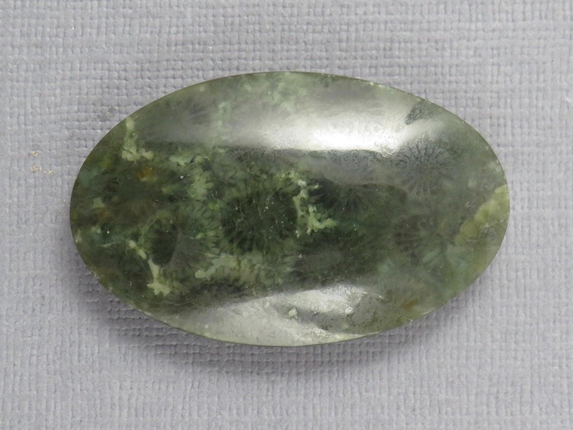 Green Fossilized Coral Oval Cabochon | Agatized Gemstone | 39x25mm, 56ct | Indonesia | FC115 - Gem Enthusiast