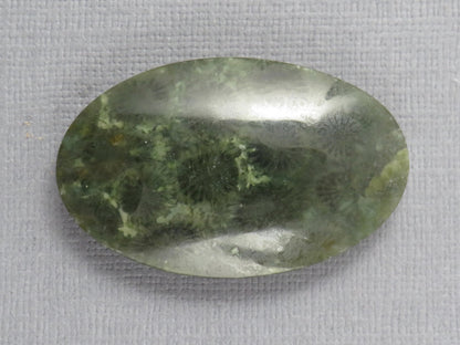 Green Fossilized Coral Oval Cabochon | Agatized Gemstone | 39x25mm, 56ct | Indonesia | FC115 - Gem Enthusiast
